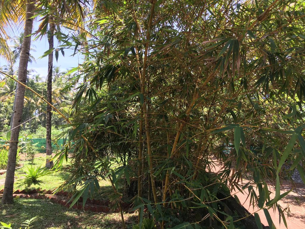 Divine Bliss Beach Resort Varkala Exterior foto