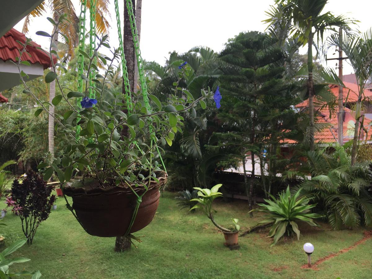 Divine Bliss Beach Resort Varkala Exterior foto