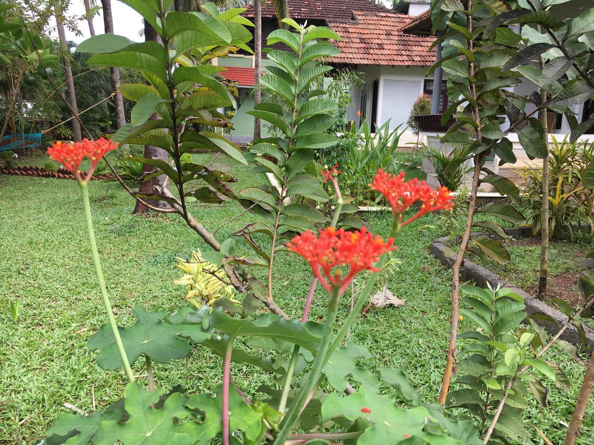 Divine Bliss Beach Resort Varkala Exterior foto