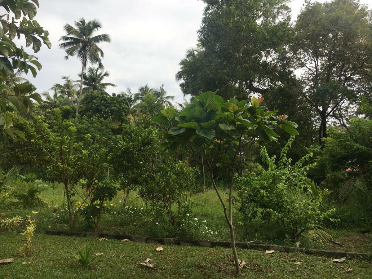 Divine Bliss Beach Resort Varkala Exterior foto